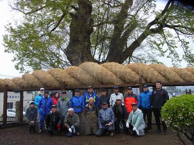 大けやき横綱づくり実行委員と